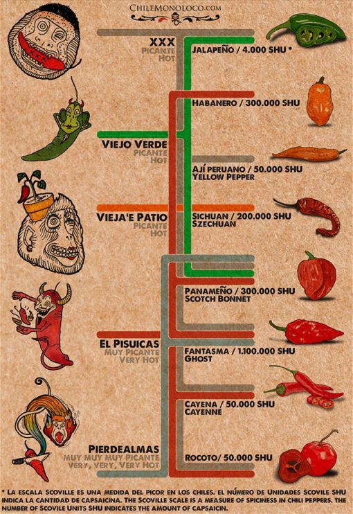 Chile Monoloco Nuestras Salsas