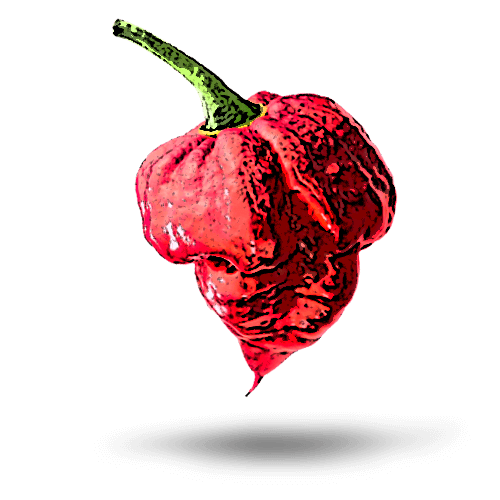 Butch Trinidad Scorpion: