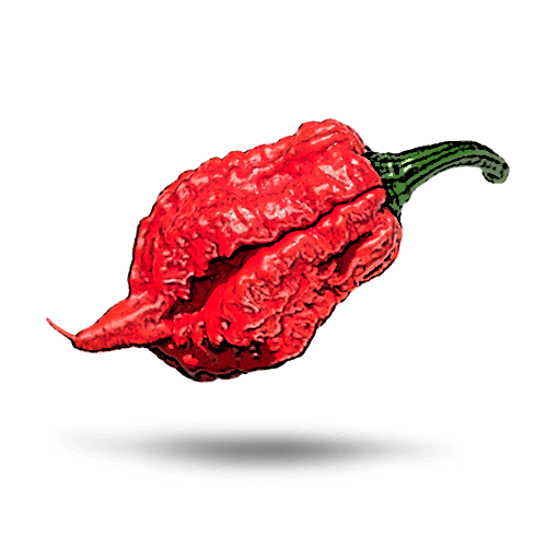 Chile Carolina Reaper